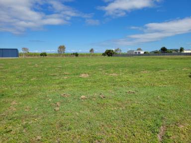 Residential Block Sold - QLD - Halifax - 4850 - 2,781 SQUARE METRE (WELL OVER 1/2 ACRE) BLOCK BETWEEN HALIFAX & LUCINDA!  (Image 2)