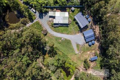 House For Sale - QLD - Tamaree - 4570 - Private Acreage Retreat with Endless Potential  (Image 2)