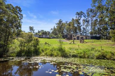 House For Sale - QLD - Tamaree - 4570 - Private Acreage Retreat with Unlimited Potential  (Image 2)