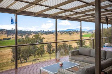 Lifestyle For Sale - NSW - Tantawangalo - 2550 - Perfect Family Lifestyle Property  (Image 2)