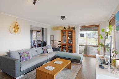 Lifestyle For Sale - NSW - Tantawangalo - 2550 - Perfect Family Lifestyle Property  (Image 2)