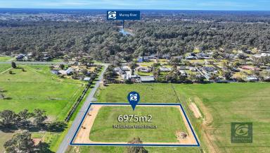 Residential Block For Sale - VIC - Echuca - 3564 - No better location - Large lifestyle allotment  (Image 2)