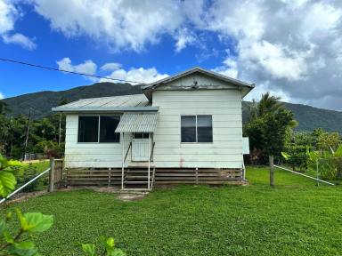 House Sold - QLD - Tully - 4854 - Charming 3-Bedroom Home on a Spacious 1,705 sqm Block  (Image 2)