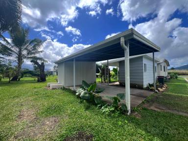 House Sold - QLD - Tully - 4854 - Charming 3-Bedroom Home on a Spacious 1,705 sqm Block  (Image 2)