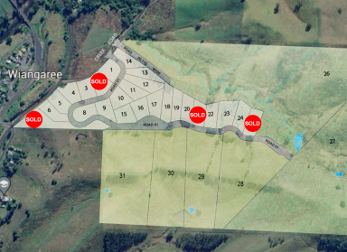 Residential Block For Sale - NSW - Wiangaree - 2474 - Affordable, Easy-Build Land  (Image 2)