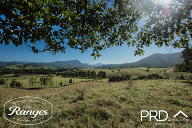 Residential Block For Sale - NSW - Wiangaree - 2474 - Affordable, Easy-Build Land  (Image 2)