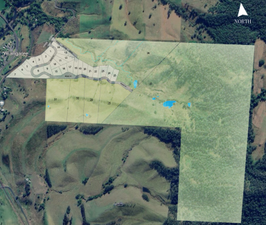 Residential Block For Sale - NSW - Wiangaree - 2474 - Affordable, Easy-Build Land  (Image 2)