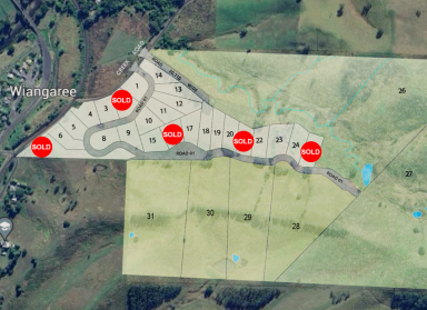 Residential Block For Sale - NSW - Wiangaree - 2474 - Affordable, Easy-Build Land  (Image 2)