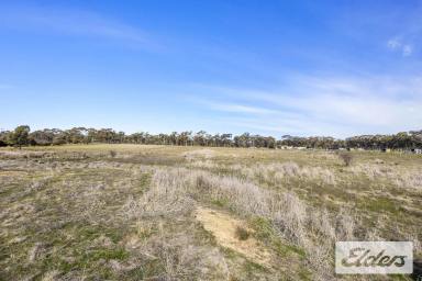 Residential Block For Sale - VIC - Maryborough - 3465 - Outstanding 5.5-Acre Lifestyle Opportunity Minutes from Maryborough (Image 2)