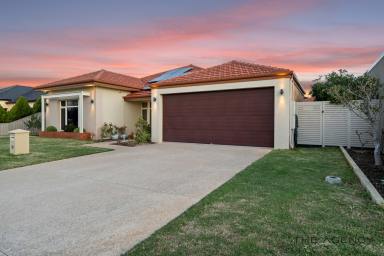 House Sold - WA - Dianella - 6059 - Stunning & Beautiful Family Home  (Image 2)