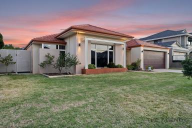 House Sold - WA - Dianella - 6059 - Stunning & Beautiful Family Home  (Image 2)