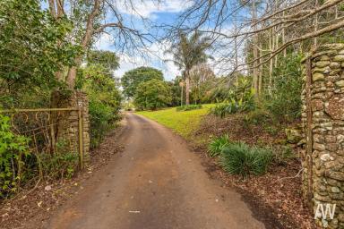 House Sold - QLD - Maleny - 4552 - Maleny Magic: Privacy, Peace, Potential!  (Image 2)