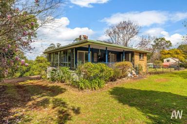 House Sold - QLD - Maleny - 4552 - Maleny Magic: Privacy, Peace, Potential!  (Image 2)