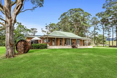 Lifestyle For Sale - NSW - Jamberoo - 2533 - 'Cedar Grove'  (Image 2)