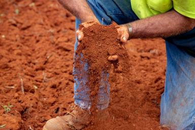 Cropping For Sale - NSW - North Dorrigo - 2453 - The Best of Rich Red Volcanic Soils in a Sub-Tropical Climate  (Image 2)