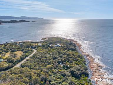 Residential Block Sold - TAS - Bicheno - 7215 - Nature, Coastal, Tranquil  (Image 2)