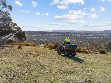 Lifestyle For Sale - NSW - Yass - 2582 - 100 acres 10min From Yass  (Image 2)