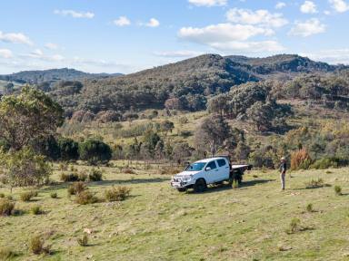 Lifestyle For Sale - NSW - Yass - 2582 - 100 acres 10min From Yass  (Image 2)