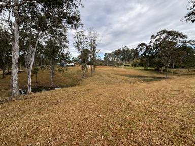 Residential Block For Sale - NSW - Bundook - 2422 - Tranquility on Gloucester's Doorstep  (Image 2)