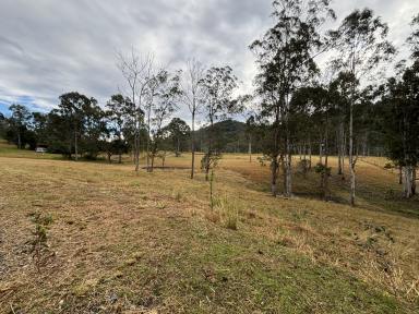 Residential Block For Sale - NSW - Bundook - 2422 - Tranquility on Gloucester's Doorstep  (Image 2)