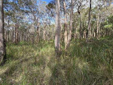 Residential Block Sold - QLD - Wongabel - 4883 - 8ha Rural Block - 13km to town  (Image 2)