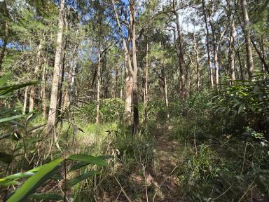 Residential Block Sold - QLD - Wongabel - 4883 - 8ha Rural Block - 13km to town  (Image 2)