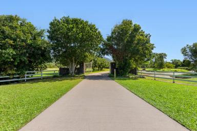 House For Sale - QLD - Port Douglas - 4877 - Paradise Found - 18 Ferrero Rd, Port Douglas  (Image 2)