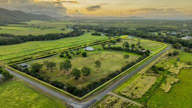 House For Sale - QLD - Port Douglas - 4877 - Paradise Found - 18 Ferrero Rd, Port Douglas  (Image 2)