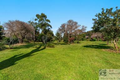 Other (Rural) For Sale - NSW - Monaltrie - 2480 - OPPORTUNITY AWAITS!  (Image 2)