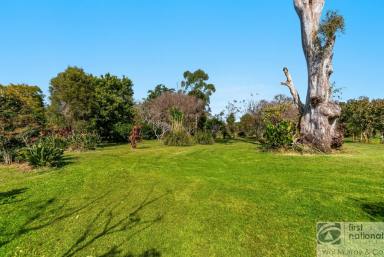 Other (Rural) For Sale - NSW - Monaltrie - 2480 - OPPORTUNITY AWAITS!  (Image 2)