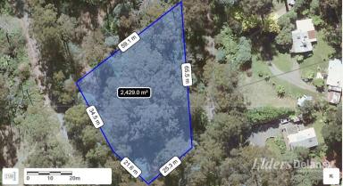 Residential Block For Sale - VIC - Tanjil Bren - 3833 - "Your piece of wilderness just below the snow line"  (Image 2)