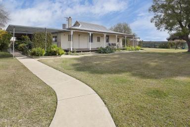 House Sold - VIC - Woorinen - 3589 - Your own little Paradise.  (Image 2)