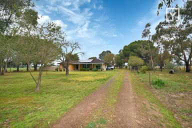 House For Sale - VIC - Cosgrove South - 3631 - LIFESTYLE PROPERTY- 20 Minutes from Shepparton  (Image 2)