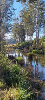 Lifestyle For Sale - NSW - Pappinbarra - 2446 - Charming Lifestyle Acreage in Pappinbarra, NSW  (Image 2)