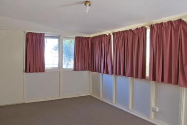 House For Sale - NSW - Bourke - 2840 - 4 bedroom house with all the extras!  (Image 2)