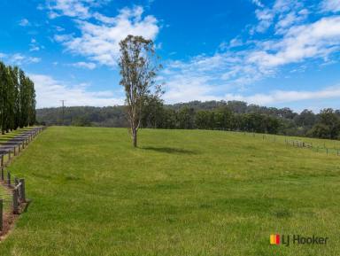 Acreage/Semi-rural For Sale - NSW - Mogendoura - 2537 - The Holy Grail of Horse Properties.  (Image 2)