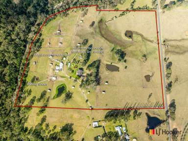 Acreage/Semi-rural For Sale - NSW - Mogendoura - 2537 - The Holy Grail of Horse Properties.  (Image 2)