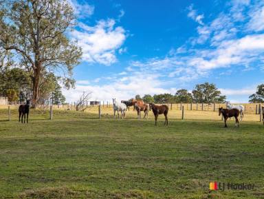 Acreage/Semi-rural For Sale - NSW - Mogendoura - 2537 - The Holy Grail of Horse Properties.  (Image 2)