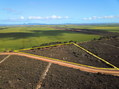 Lifestyle Sold - WA - Hopetoun - 6348 - Tranquil 10.92 Acre Lifestyle Block Near Jerdy River  (Image 2)