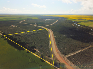 Lifestyle Sold - WA - Hopetoun - 6348 - Tranquil 10.92 Acre Lifestyle Block Near Jerdy River  (Image 2)