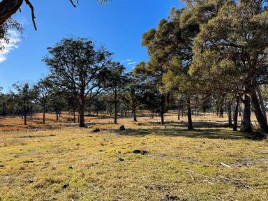 Residential Block For Sale - QLD - Eukey - 4380 - Stanthorpe Grazing country  (Image 2)