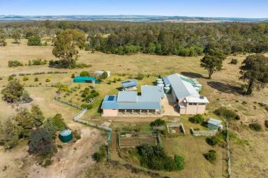 Lifestyle For Sale - QLD - Highland Plains - 4401 - Ultimate Adventure & Privacy Retreat: 160-Acre Estate with Endless Potential  (Image 2)