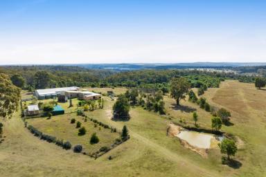 Lifestyle For Sale - QLD - Highland Plains - 4401 - Ultimate Adventure & Privacy Retreat: 160-Acre Estate with Endless Potential  (Image 2)