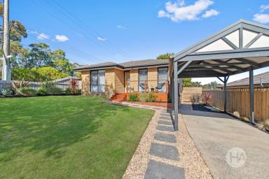 House Sold - VIC - Langwarrin - 3910 - Beautifully Renovated Retreat  (Image 2)