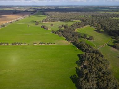 Mixed Farming For Sale - VIC - Durham Ox - 3576 - Prime Agricultural and Recreational Property on Rich River Flats  (Image 2)