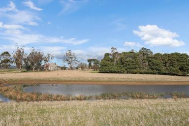 Livestock For Sale - VIC - Birregurra - 3242 - BIRREGURRA COUNTRY HOMESTEAD ‘DARAGA’  (Image 2)