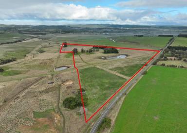 Livestock For Sale - VIC - Birregurra - 3242 - BIRREGURRA COUNTRY HOMESTEAD ‘DARAGA’  (Image 2)