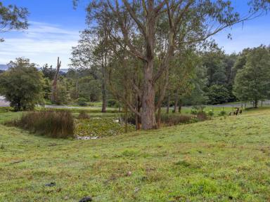 House For Sale - VIC - Toora - 3962 - HAMPTONS STYLE HOME ON 2.7 ACRES  (Image 2)