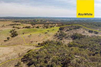 Lifestyle For Sale - NSW - Gunning - 2581 - Weekend Adventure.  (Image 2)