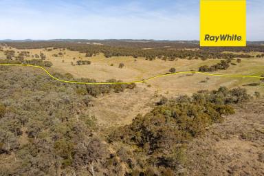 Lifestyle For Sale - NSW - Gunning - 2581 - Weekend Adventure.  (Image 2)